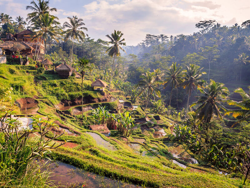 Bali Serüveni Singapur Hava Yolları ile 5 Gece 6 Gün - 2