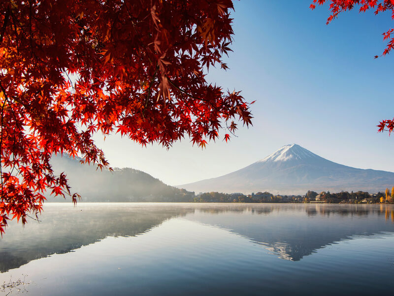 Comfort Japonya Turu Etihad Hava Yolları ile 7 gece Ekstra Turlar ve Çay Seramonisi