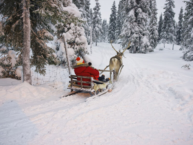 Comfort Lapland Turu Türk Hava Yolları ile 3 Gece (RVN-RVN) 2026 Dönemi