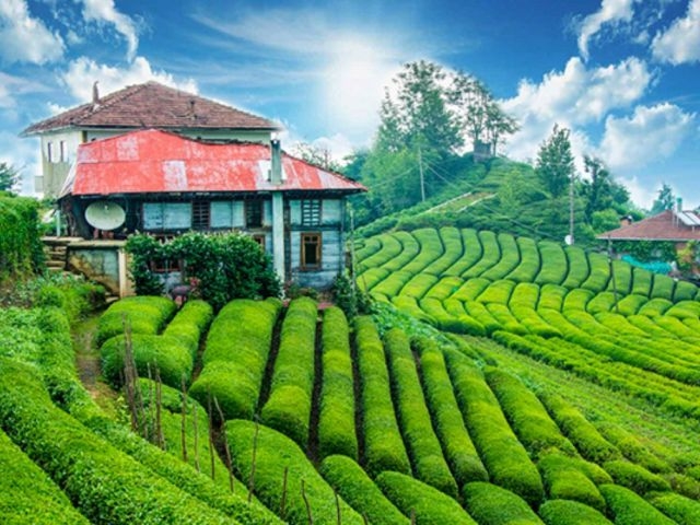 29 Ekim Özel İkonik Karadeniz Yaylalar ve Batum Turu Trabzon Başlar| 3 Gece Konaklamalı Uçaklı Ankara Çıkışlı