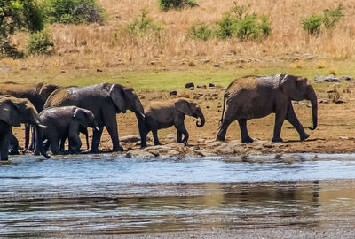 Vizesiz Muhteşem Güney Afrika Turu - Sömestr Dönemi