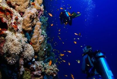 Ankara Çıkışlı Baştanbaşa Mısır ve Ürdün Turu 7 Gece 9 Gün