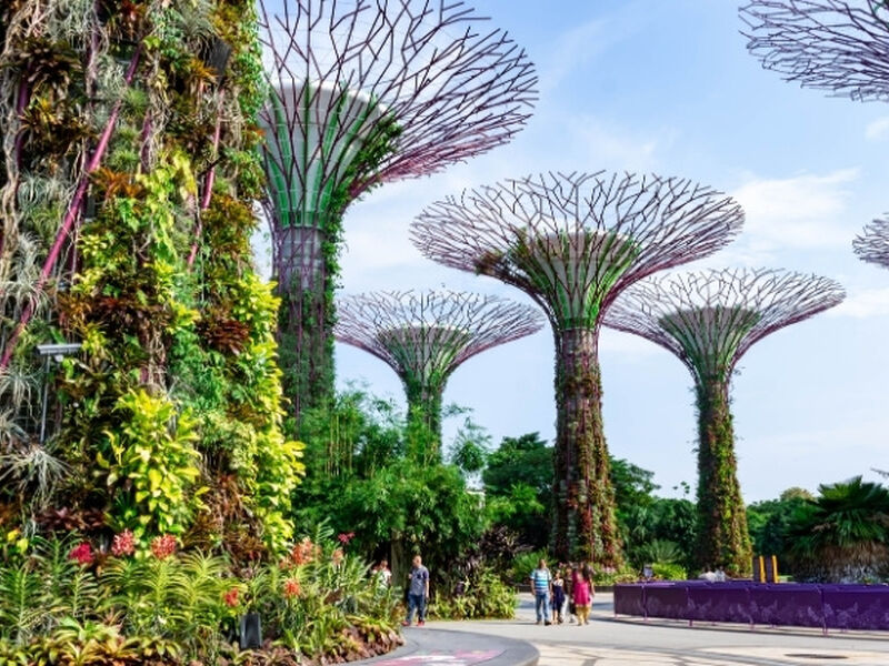 BALİ 2026 (DPS-DPS) BALİ (5)