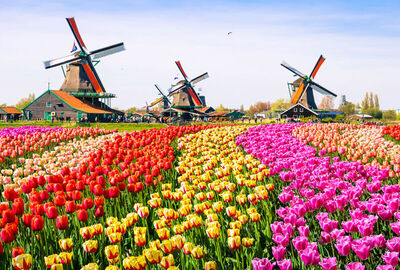 Görkemli Üçlü Benelüx & Fransa & Almanya 7 Gece - THY ile 19 Mart (Ramazan Bayramı Özel) AT074