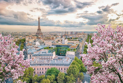 Görkemli Dörtlü Benelüx & Fransa & Almanya & İsviçre 7 Gece - THY ile 16 Mayıs Hareket (19 Mayıs Özel) (DUS - BSL) AT082