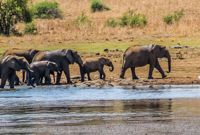 VİZESİZ MUHTEŞEM GÜNEY AFRİKA - ŞEKER BAYRAMI - 2026 JOHANNESBURG (1) – SUN CITY (2) – CAPE TOWN (3)