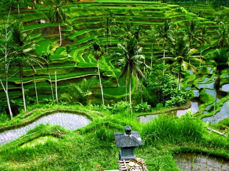 ELEGANT UBUD & BALİ & KUALA LUMPUR Air Asia Hava Yolları ile 6 Gece