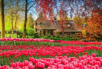 Hollanda'nın Renkleri Amsterdam & Rotterdam Turu Ajet Havayolları İle 2 Gece 3 Gün Promosyon !