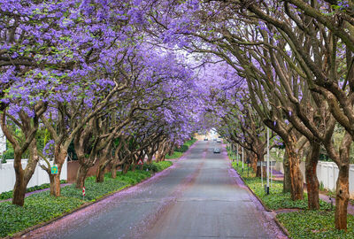 Görkemli Güney Afrika ve Safari 7 Gece - THY ile 17 Ocak (Sömestr Özel) (JNB - CPT) AT1121
