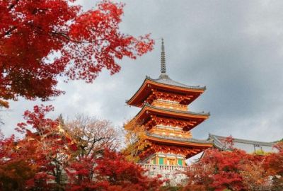 Uzak Doğu’nun Çiçeği ve Güneşi “Güney Kore ve Japonya” THY ile 9 gece (ICN-HND) Seul (3) – Osaka (3) – Nara – Kyoto – Tokyo (3) – Hakone | Tüm turlar ve giriş ücretleri dahil