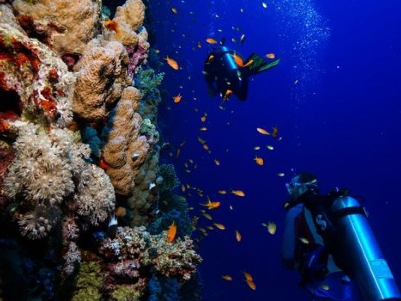 Kızıldeniz Akvaryumu “Sharm El Sheikh” THY ile 5 gece Sharm El Sheikh (5) | Vizesiz | Plaj otellerinde alkollü her şey dahil konseptte konaklama