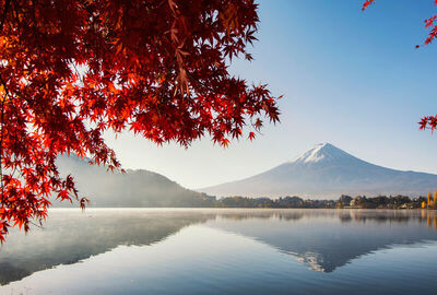 Görkemli Uzaklar: Japonya & Hong Kong 17 Ocak Hareket Türk Hava Yolları ile