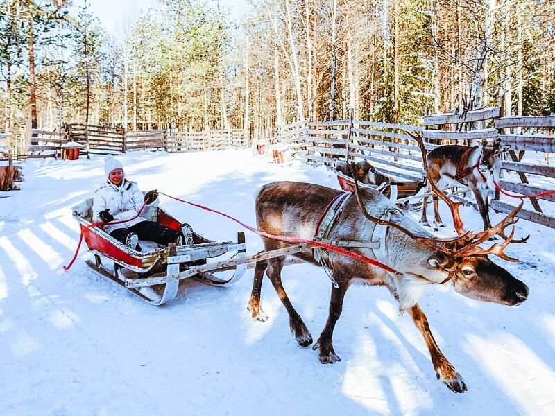 Comfort Lapland Turu