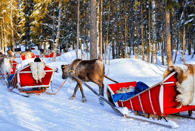 Comfort Lapland Turu