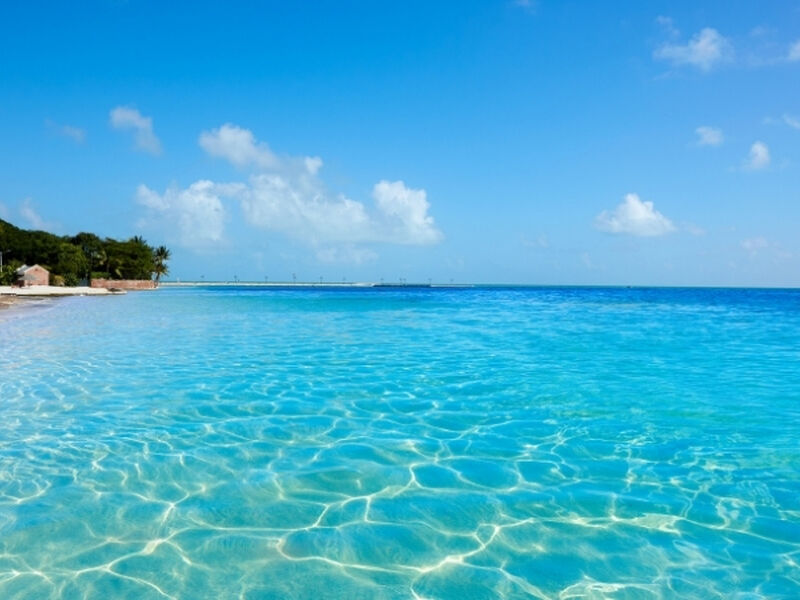 Miami  Serüveni Turu THY ile