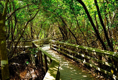 Miami  Serüveni Turu THY ile