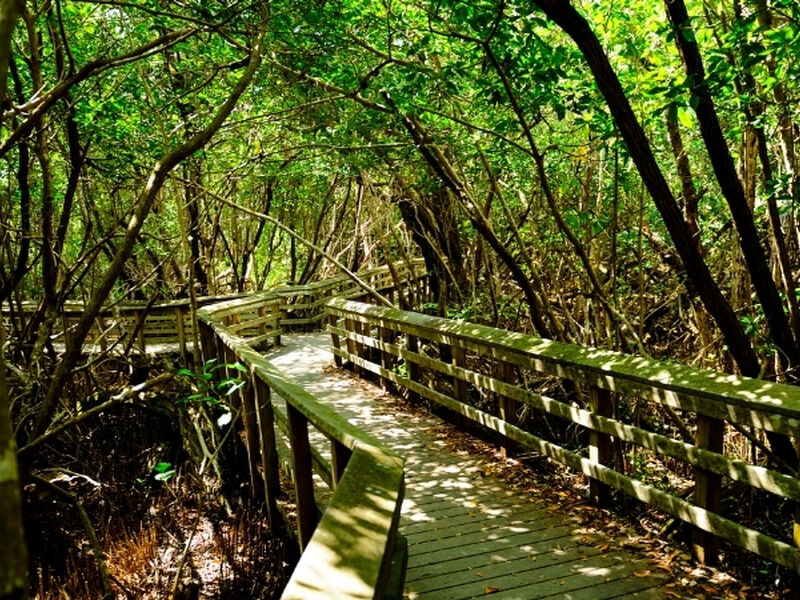 Miami - Orlando Serüveni Turu