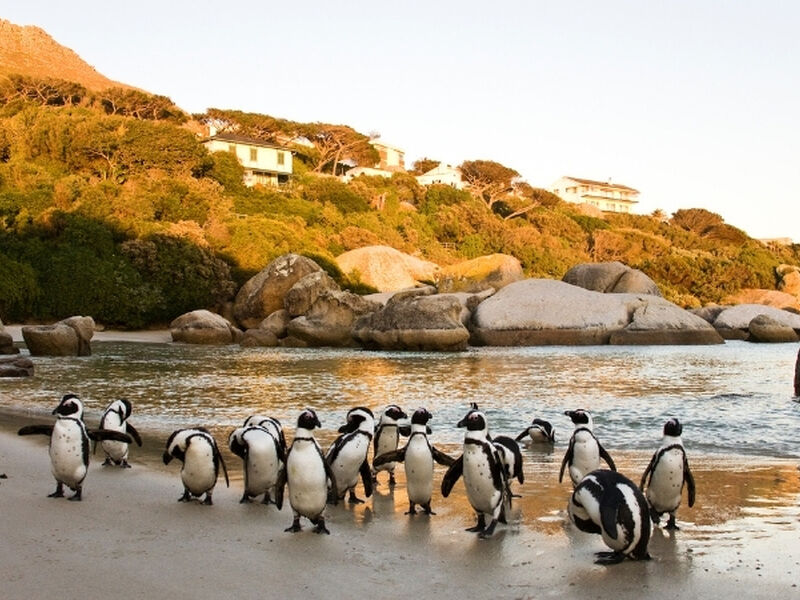 Vizesiz Muhteşem Güney Afrika Turu - Sömestr Dönemi