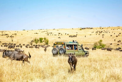 Vizesiz Muhteşem Güney Afrika Turu - Sömestr Dönemi
