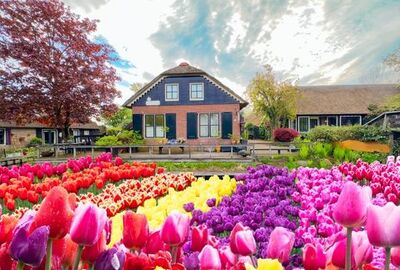 Amsterdam THY ile 3 Gece 4 Gün AMS-AMS FL001