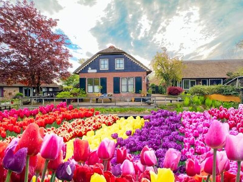 Amsterdam Turu Türk Havayolları Seferi İle 3 Gece FİT