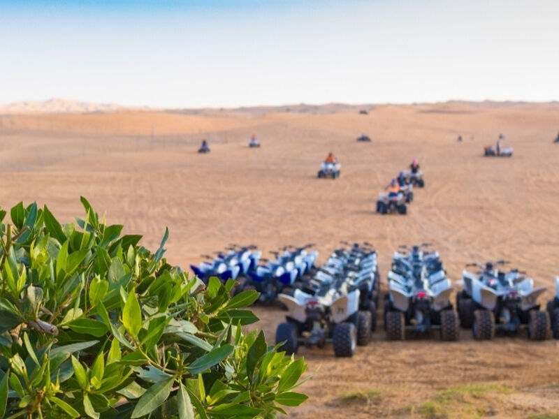 Ankara Hareketli Sömestr Özel Dubai Turu Fly Arabia Havayolları ile 4 Gece 6 Gün FW001